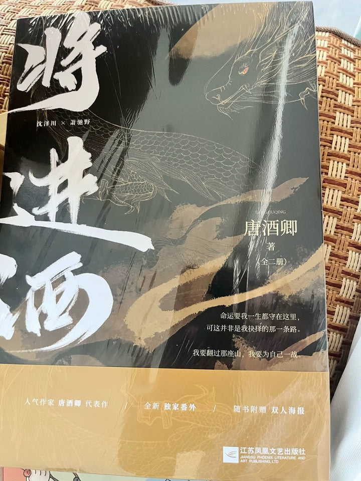 Ballad of Sword and Wine: Qiang Jin Jiu Chinese novels sealed upper-part book customer photo