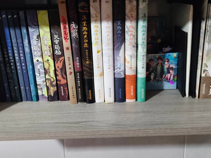The Husky and His White Cat Shizun novels six spines lined on bookshelf